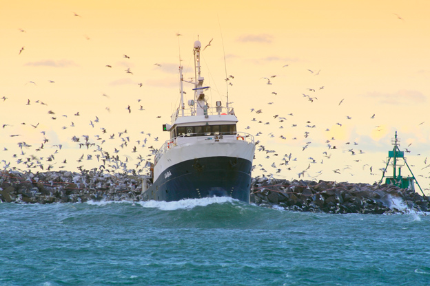 HIRTSHALS-6-KJELSVIK.jpg