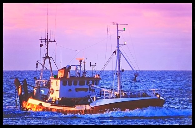 Trawler-bygget-i-76-ankommer-tungt-lastet.jpg