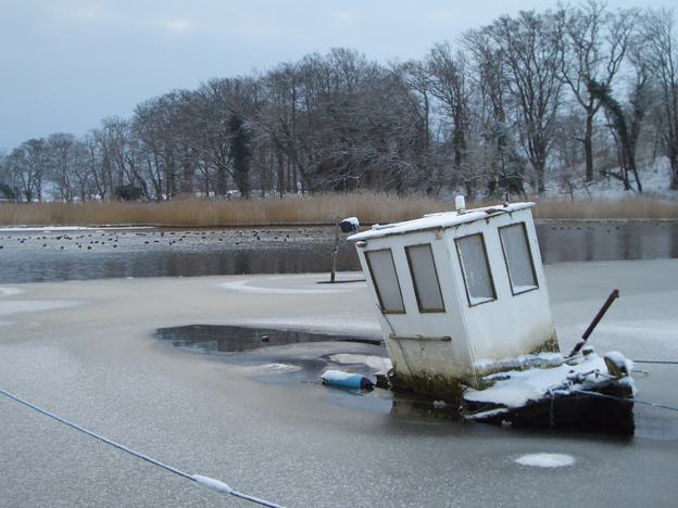 Fiskebaad_Nyborg.jpg