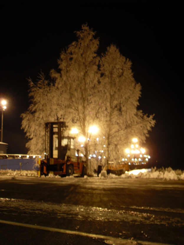 Kotka-by-Night.jpg