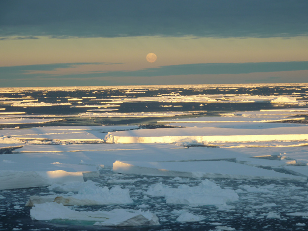 sidste-dag-paÌŠ-Antarctic.jpg